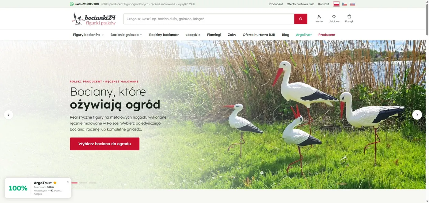 Podgląd strony głównej Bocianki